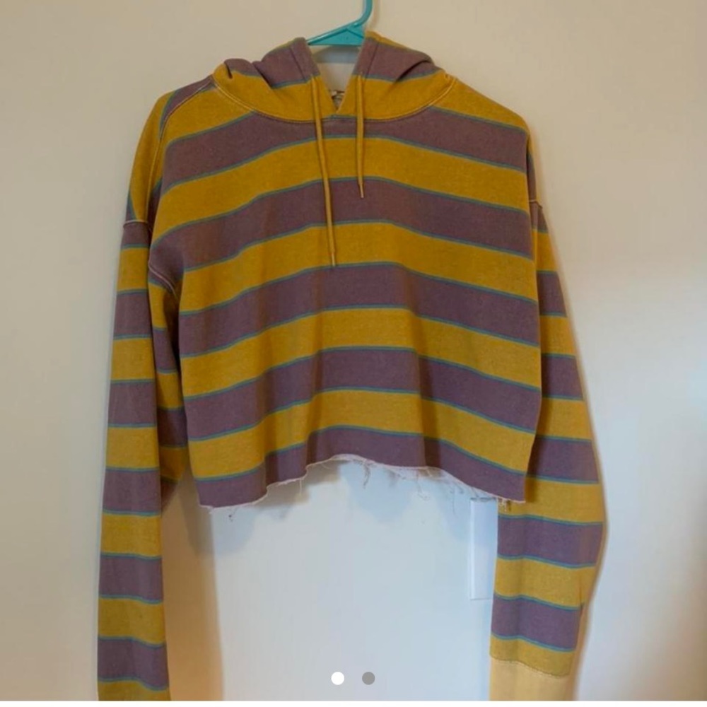 Urban Outfitters striped cropped hoodie